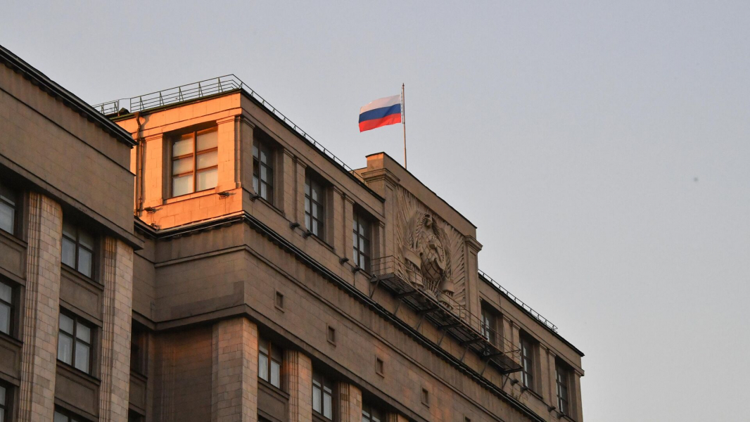 В ГД внесли проект о механизме приостановки запрета террористической организации